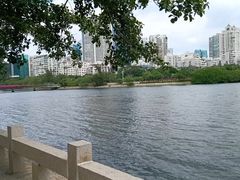 -金砂公园