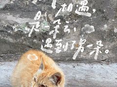 -鼓浪屿·皓月园
