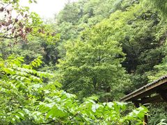 -藏龙百瀑风景区