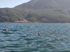 -丽江泸沽湖景区