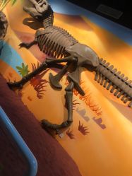 -北京科学中心儿童乐园