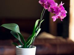 -屯靠屯地锅王(西南路店)