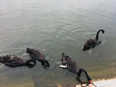 -长春世界雕塑园