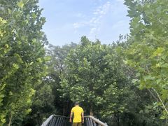 -白水寺森林公园