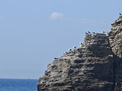 -大连金石滩滨海国家地质公园