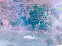 -云涛森林温泉