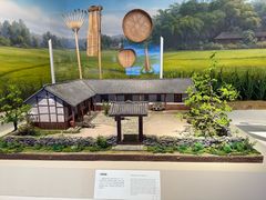 -四川大学博物馆