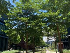 -星巴克(深圳前海企业公馆店)