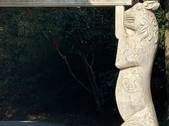 -四明山国家森林公园