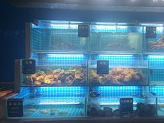 -鸽子侯·家宴·平价海鲜(市图书馆店)