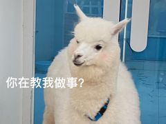 -Blue Concept Cafe&Farm·關於藍