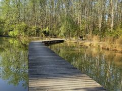 -合肥滨湖国家森林公园