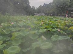-丝绸小镇荻港古村
