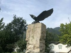 -北京鹫峰国家森林公园