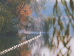 -大兴滨河森林公园