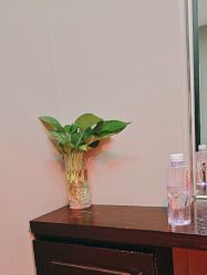 -史云逊养发护发