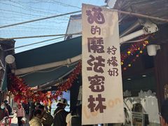 -猫的魔法密林(衣裳街店)