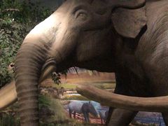 -湖南省地质博物馆