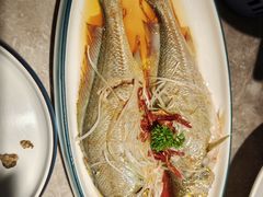-波螺油子青岛本帮菜(银座店)