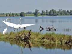 -白鹭湾湿地公园