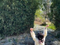 -白塘生态植物园