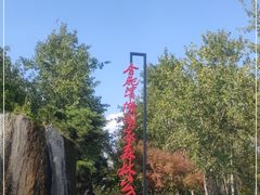 -合肥滨湖国家森林公园