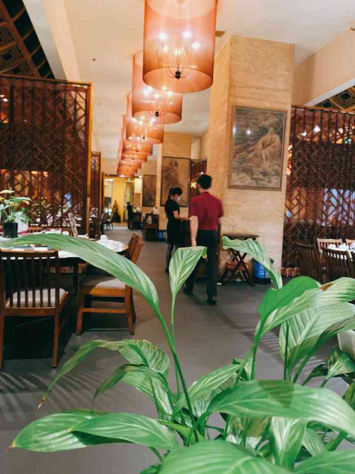 银杏金阁(锦里店)-"想的早茶时间小点比较多,去的时候没什么人.