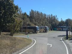 -黑瞎子岛探秘野熊园