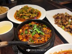 -陈麻婆豆腐(旗舰店)