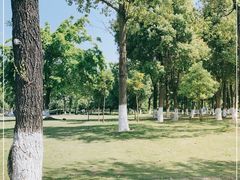 -眉山湿地公园(东坡区)