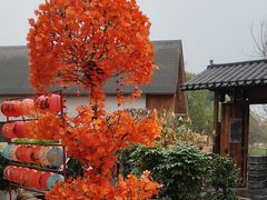 -后湖小院·乡野田园菜