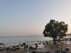 -深圳湾公园(南山区)