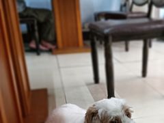 -延吉冷面馆(商品街7巷)