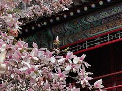 -潭柘寺景区