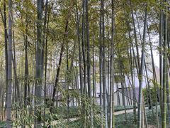 -兰亭风景区