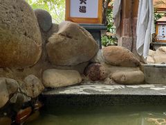 -泉眼温泉