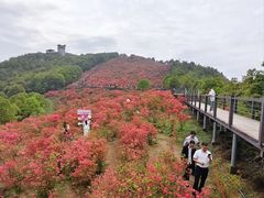 -瑞安圣井山景区