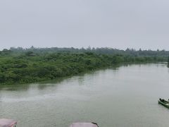 -东寨港红树林旅游区