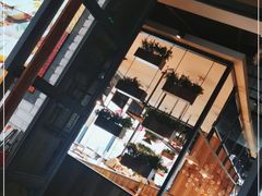 -船歌鱼水饺(淄博万象汇店)