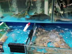 水产区-颐千海味渔小馆(大三元街店)