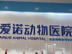 -爱诺动物医院(崂山店)