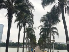 -南宁南湖公园