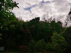 -上海佘山国家森林公园天马山园