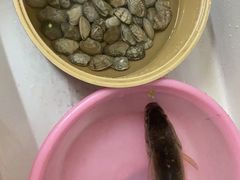 -盒马鲜生(杭州运河上街店)