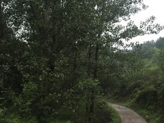 -北京山里寒舍度假酒店