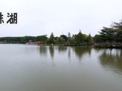-海珠湖公园
