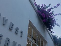 -收获咖啡HARVEST RESERVE(苍山店)