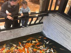 -龙悦湾酒家·八阵鱼生·渔人码头店