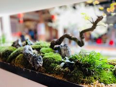 -晋江五店市传统文化旅游区