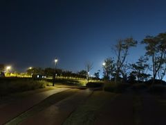 -春花秋色城市公园